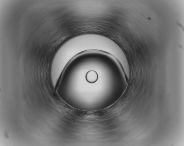 X0000097750360200803211657