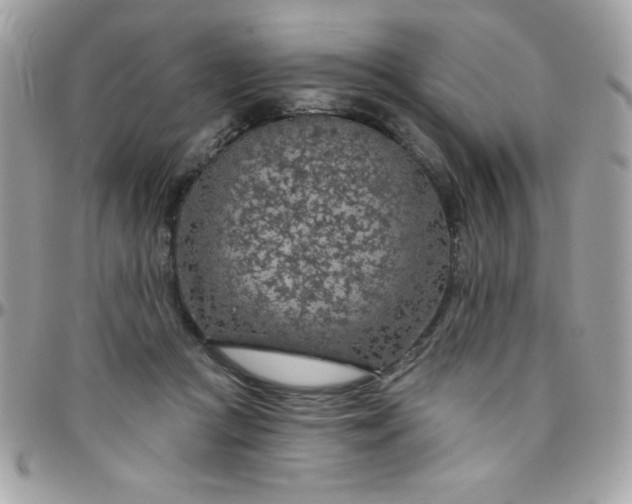 X0000097750361200803211657