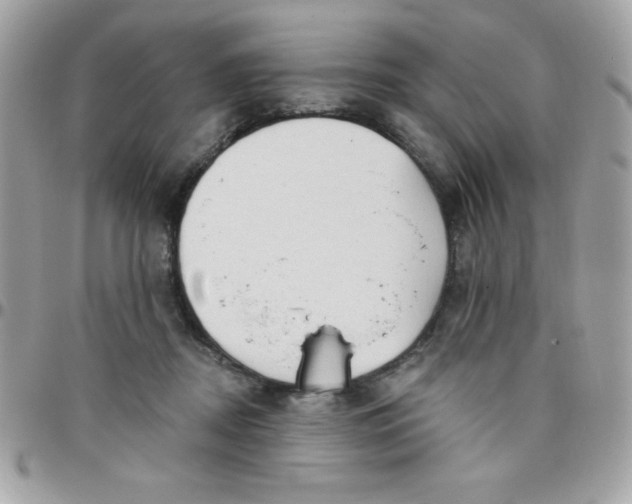 X0000097750362200803211657