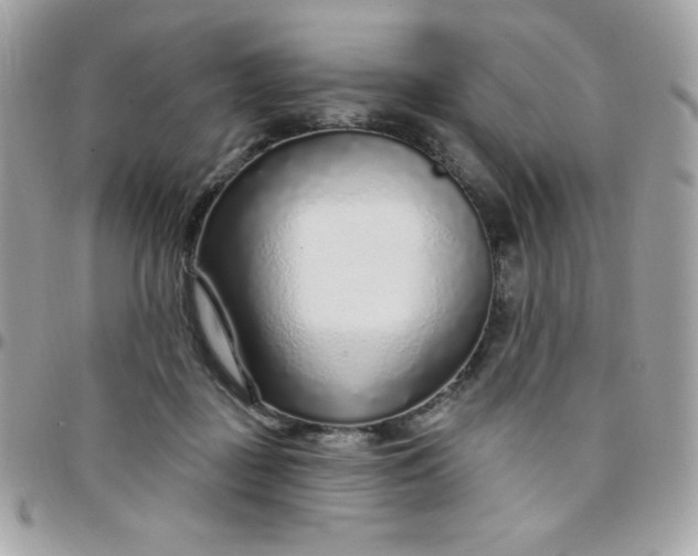 X0000097750363200803211657