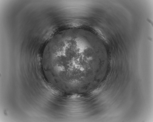 X0000097750366200803211657