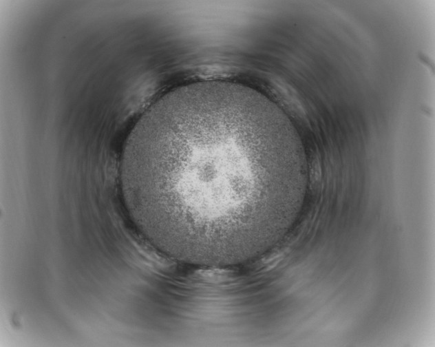 X0000097750367200803211657