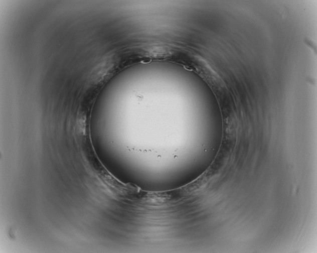 X0000097750368200803211657