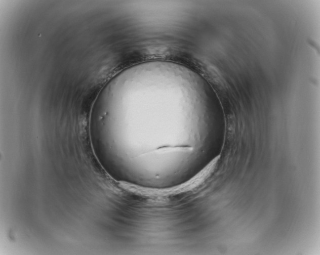 X0000097750369200803211657