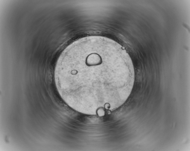 X0000097750370200803211657