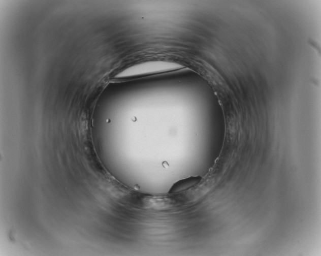 X0000097750372200803211657