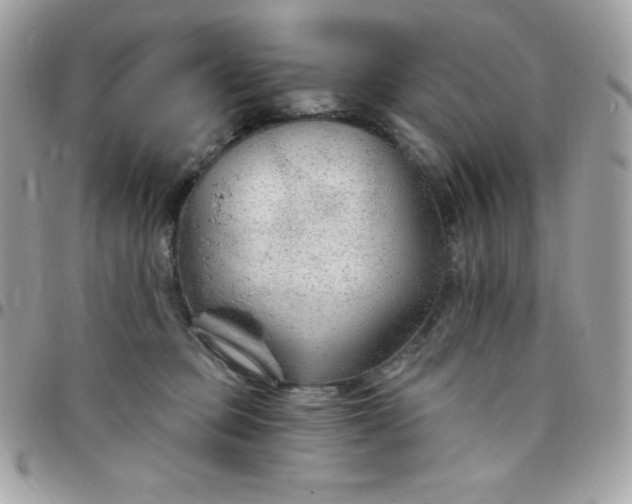 X0000097750373200803211657