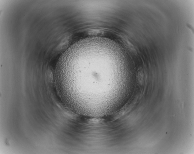 X0000097750375200803211657