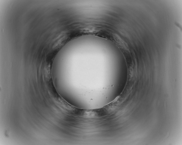 X0000097750376200803211657