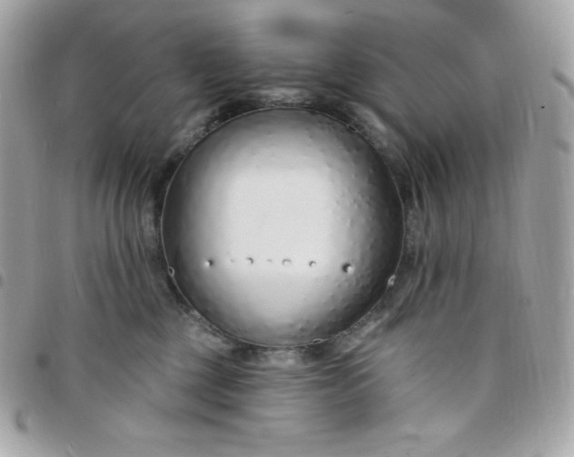 X0000097750377200803211657