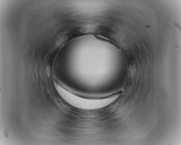 X0000097750380200803211657