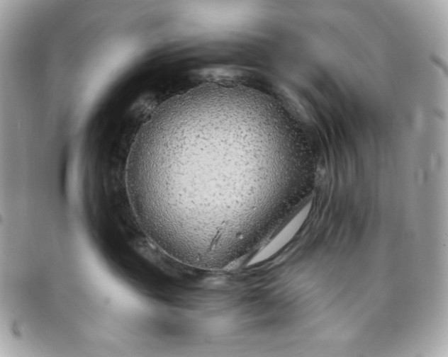 X0000097750381200803211657