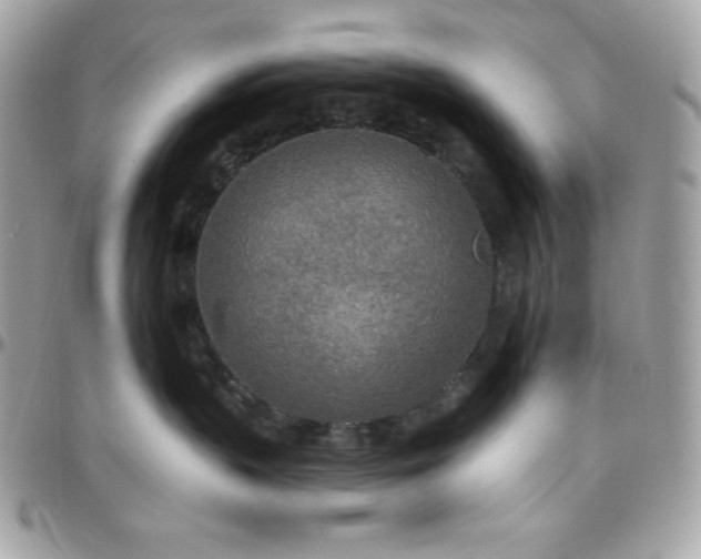 X0000097750383200803211657