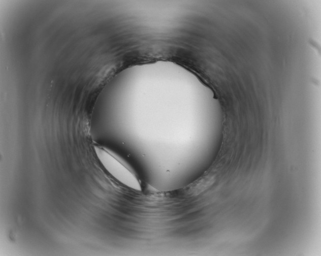 X0000097750384200803211657