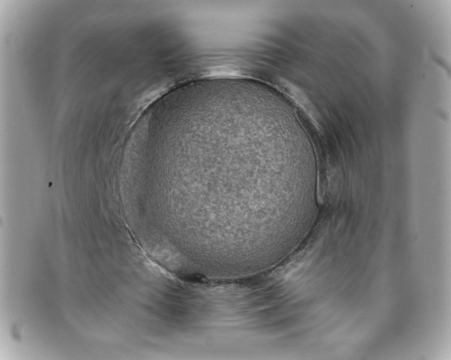 X0000097750385200803211656