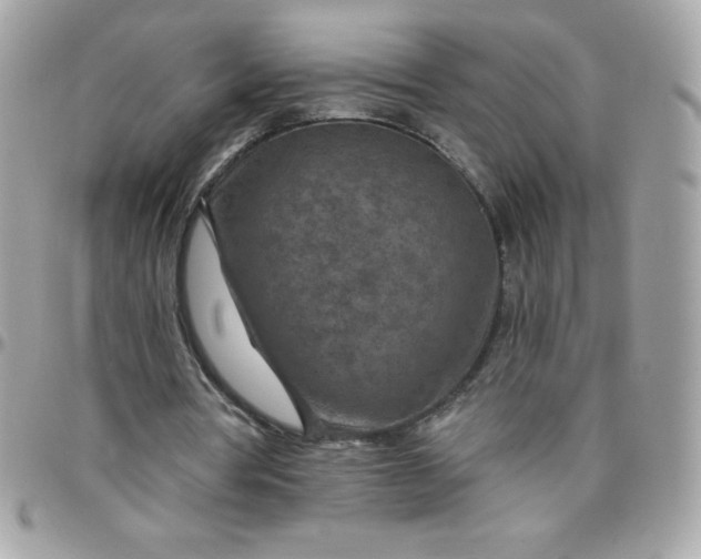 X0000097750386200803211656