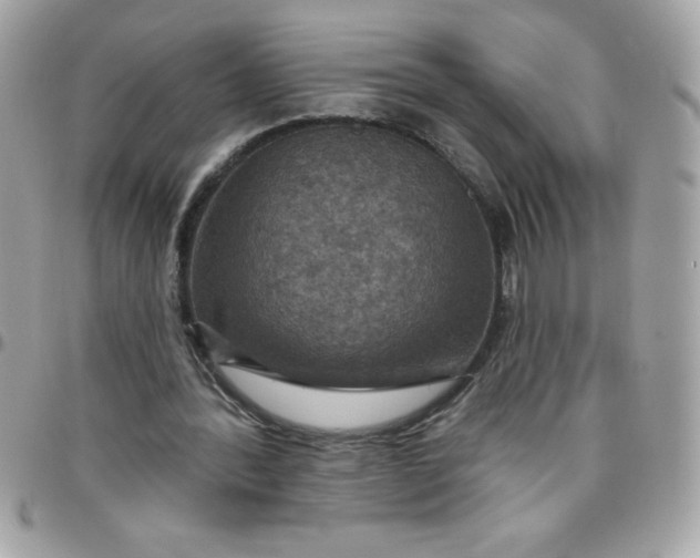 X0000097750388200803211656