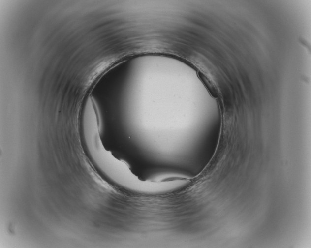 X0000097750389200803211656