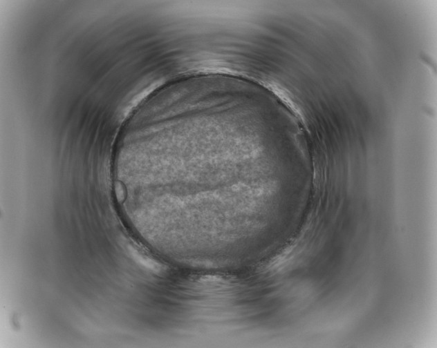 X0000097750390200803211656