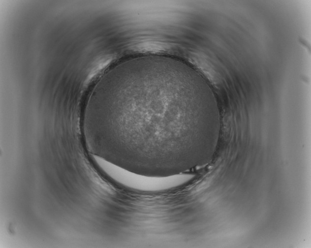 X0000097750399200803211656