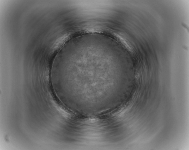 X0000097750402200803211656