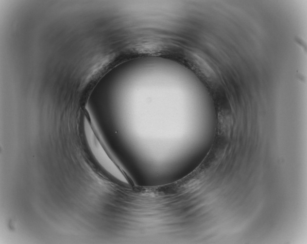 X0000097750404200803211656