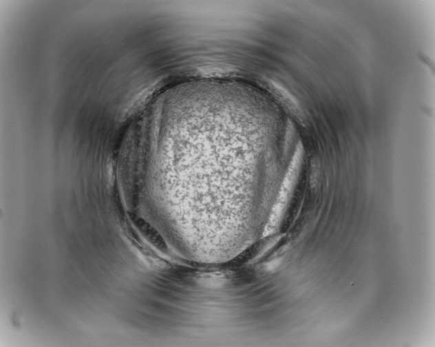 X0000097750405200803211656