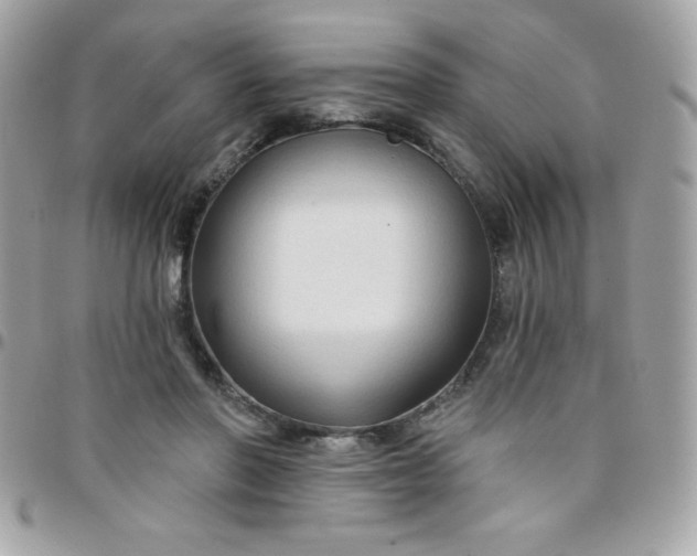 X0000097750406200803211656