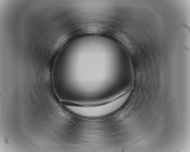 X0000097750407200803211656