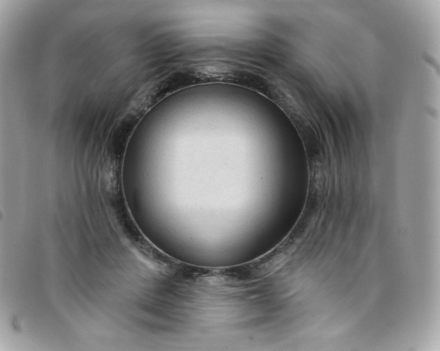 X0000097750408200803211656