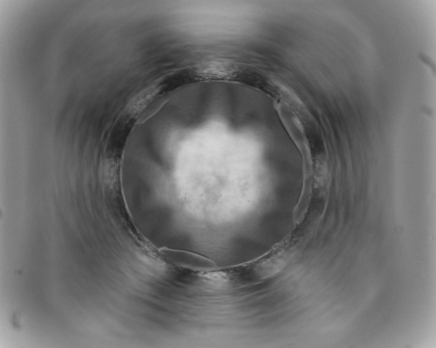 X0000097750409200803211656