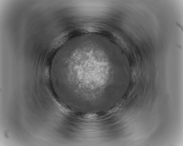 X0000097750410200803211656