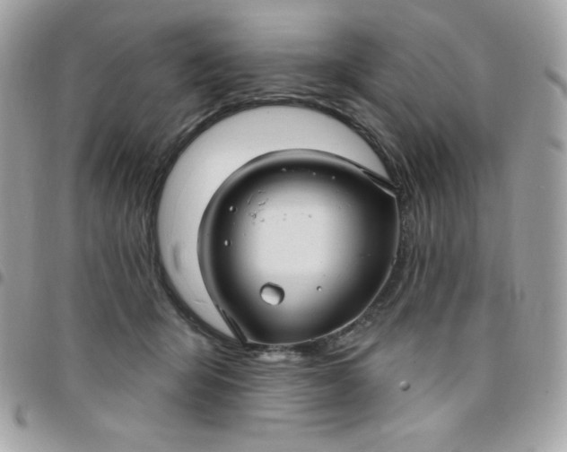 X0000097750415200803211656