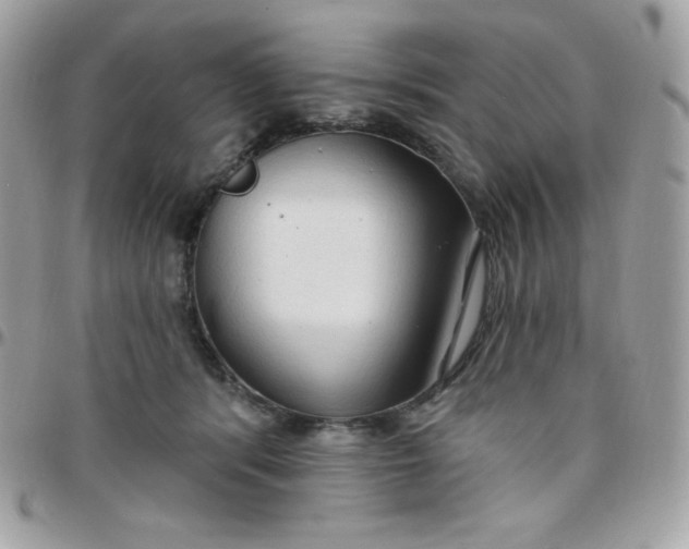 X0000097750416200803211656