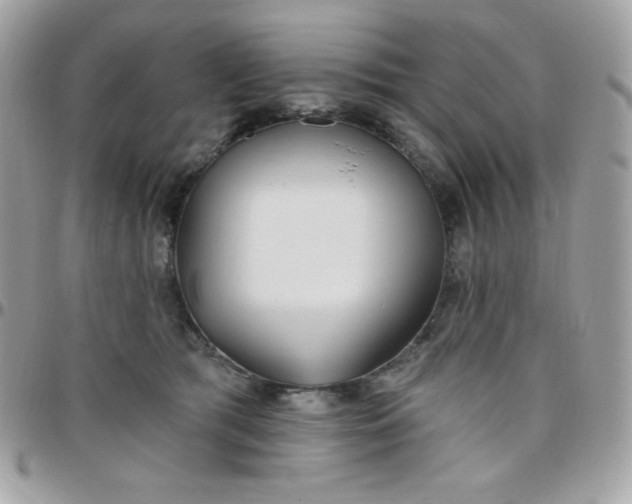 X0000097750417200803211656