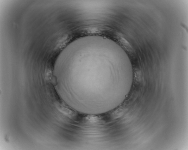 X0000097750419200803211656