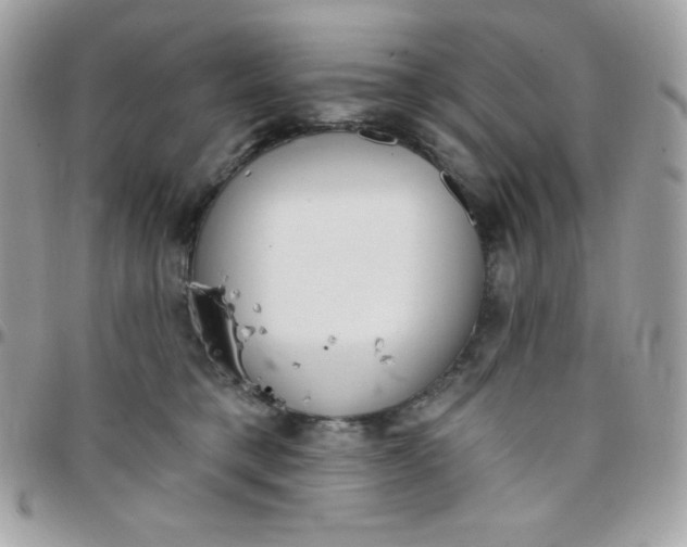 X0000097750421200803211656