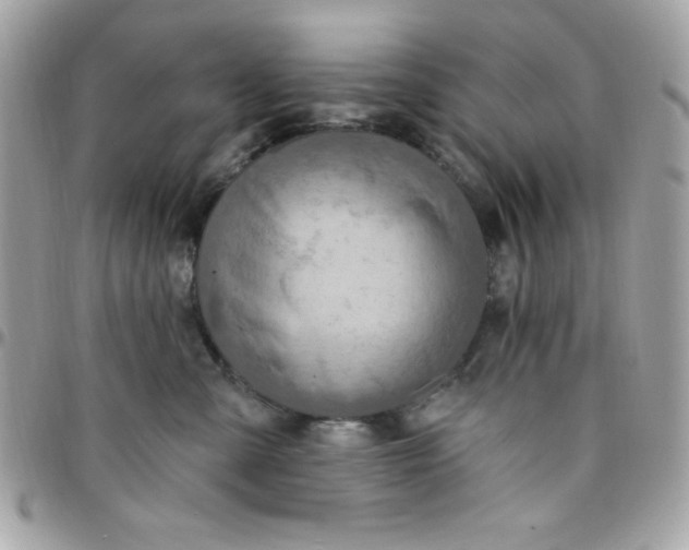 X0000097750427200803211656