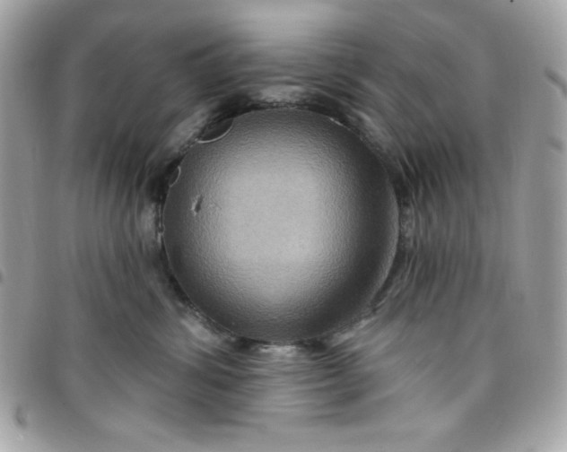 X0000097750428200803211656