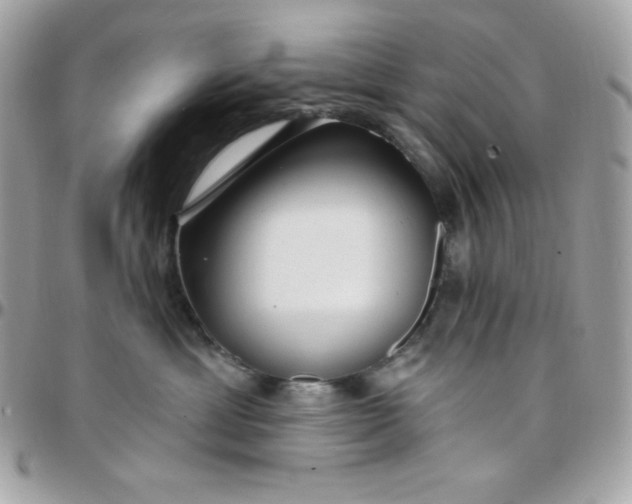 X0000097750429200803211656