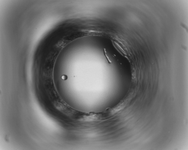 X0000097750430200803211656