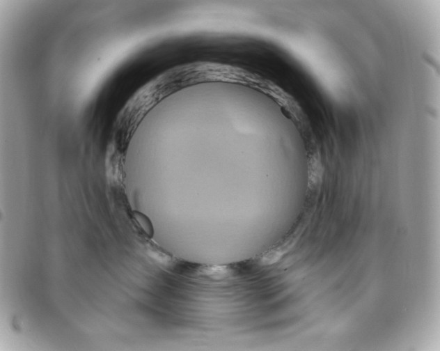 X0000097750431200803211656