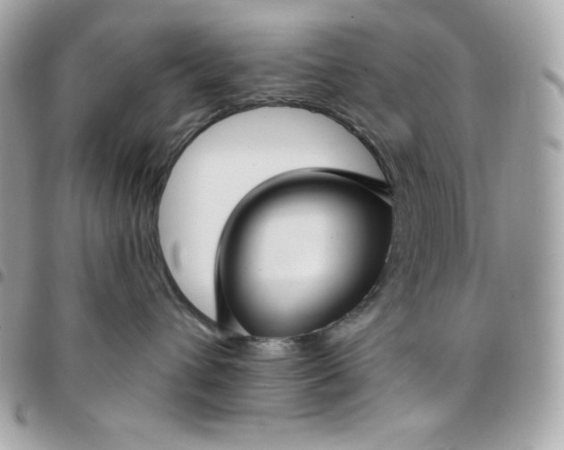 X0000097750432200803211656