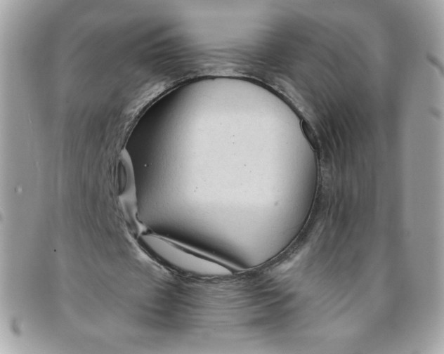 X0000097750433200803211655