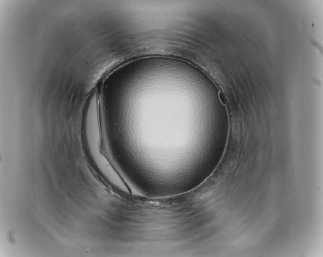 X0000097750434200803211655