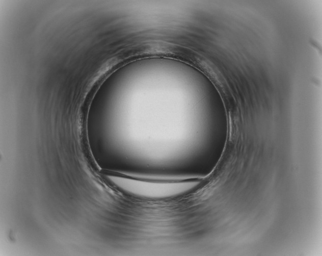 X0000097750435200803211655