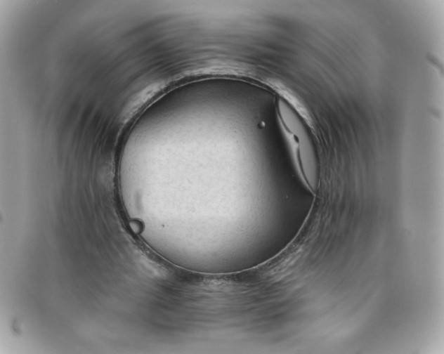 X0000097750437200803211655