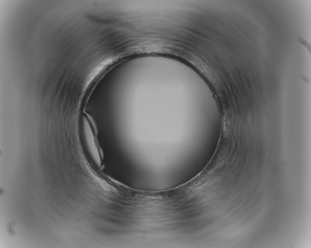 X0000097750438200803211655