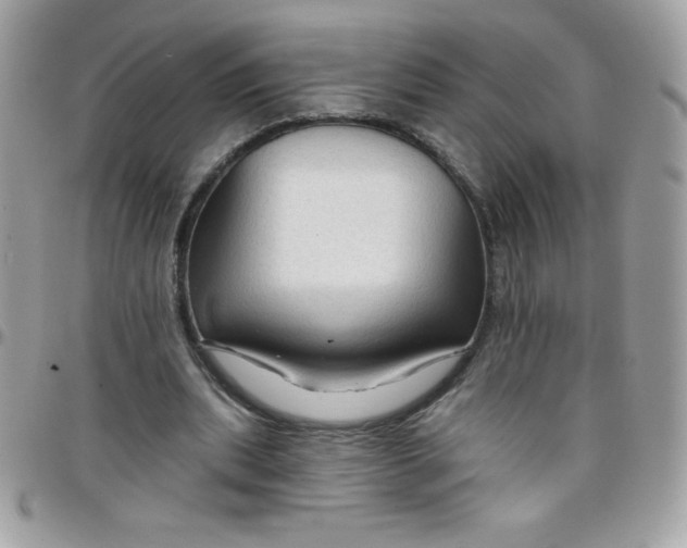 X0000097750439200803211655