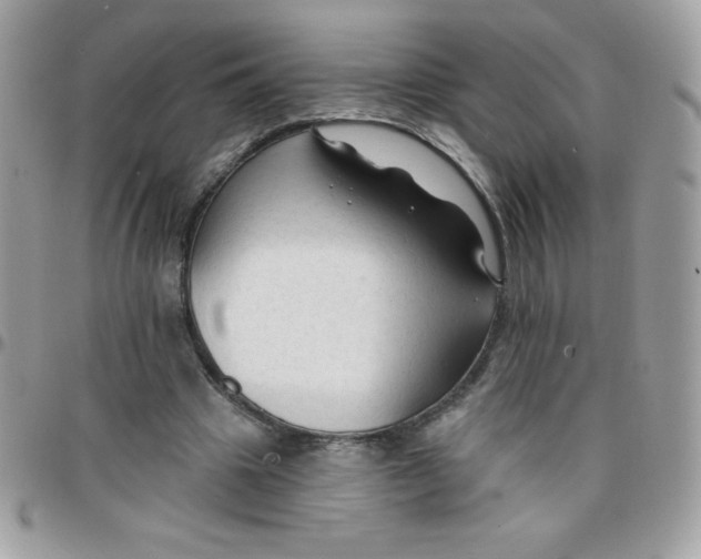 X0000097750441200803211655